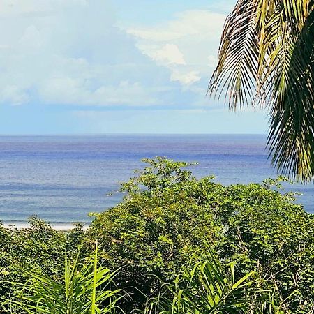 Au Lever Du Soleil Guest House Sea View Au Cap Exterior photo